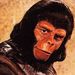 Profile Picture of Thomas Hammarstrøm (@hammarstrm3652) on Pinterest