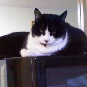 Profile Picture of Michael Garrigan (@156906980) on Myspace