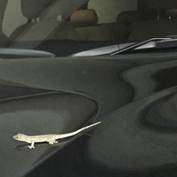 Profile Picture of Paul Rabbitte (@paul-rabbitte-1) on Quora