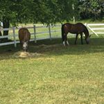 Profile Picture of Joyce Russo (@russo.joyce) on Instagram