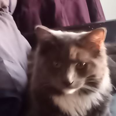 Profile Picture of Sean Markel (@seanm77) on Twitter