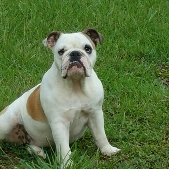 Profile Picture of Chad Hennick (@chadh985) on Poshmark