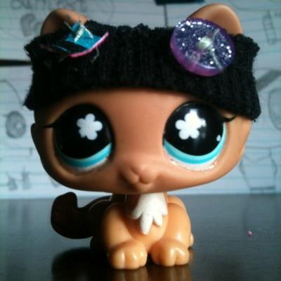 Profile Picture of Amberly Moore (@lpsmango1) on Twitter