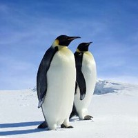 Profile Picture of Joel Karr (@joel-karr-6) on Quora