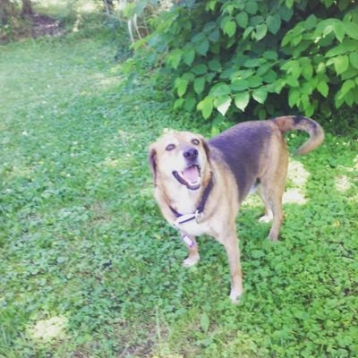 Profile Picture of Cheyenne Patton (@cheyennepatton7) on Twitter