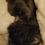 Profile Picture of Joann Allen (@joannallen1019) on Instagram