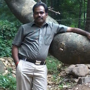 Profile Picture of Parimanam Renganathan (@parimanamrenganathan465) on Youtube