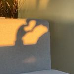 Profile Picture of 박서빈 (@jesta_nd10) on Instagram