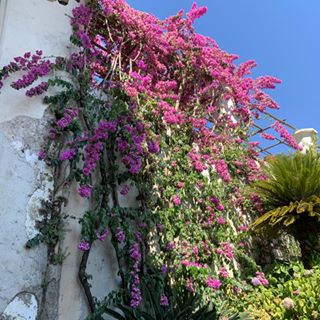 Profile Picture of Anna Brighton (@anna.brighton.984) on Facebook