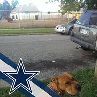 Profile Picture of Randy Gayer (@randygayer) on Pinterest