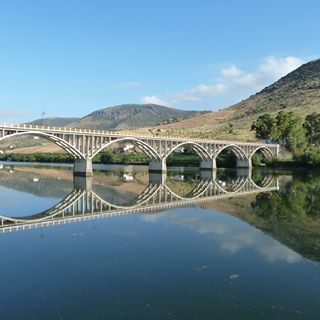 Profile Picture of Linda Billinghurst (@Linda-Billinghurst) on Facebook