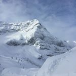 Profile Picture of Dani Baldwin (@dbwin_) on Instagram