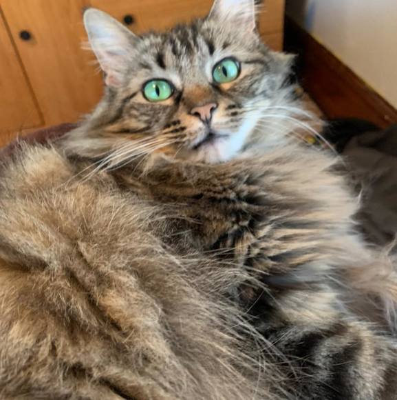 Profile Picture of Megan Keba (@mkkeba) on Poshmark