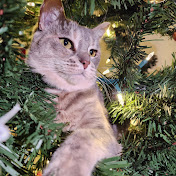 Profile Picture of Jillian Madden (@jillianmadden5936) on Youtube