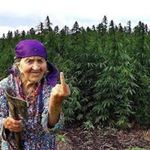 Profile Picture of Craig Chiang Mai (@craigchiangmai) on Instagram