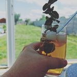 Profile Picture of Thomas Stepanek (@thomas.stepanek.75) on Instagram