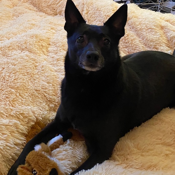 Profile Picture of Lisa Burback (@flume13) on Poshmark