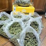 Profile Picture of Markmilner (@markmilner4) on Instagram