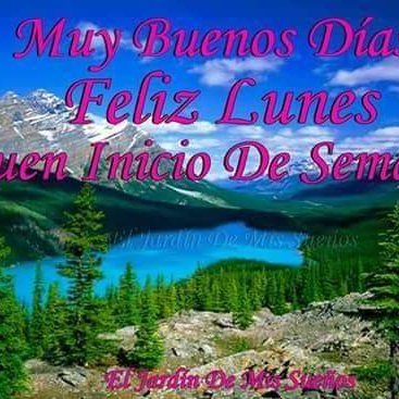 Profile Picture of Leo Bruno (@Leobruno48578) on Twitter