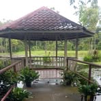 Aaron Dave Corpuz - Facebook Profile Picture of Aaron Dave Corpuz (@Aaron-Dave-Corpuz) on Facebook