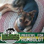 Robert Edmunds - Instagram Profile Picture of Robert Edmunds (@robert.edmunds2) on Instagram