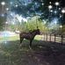 Profile Picture of Luciano Jaramillo (@luciano.jaramillo.102) on Facebook