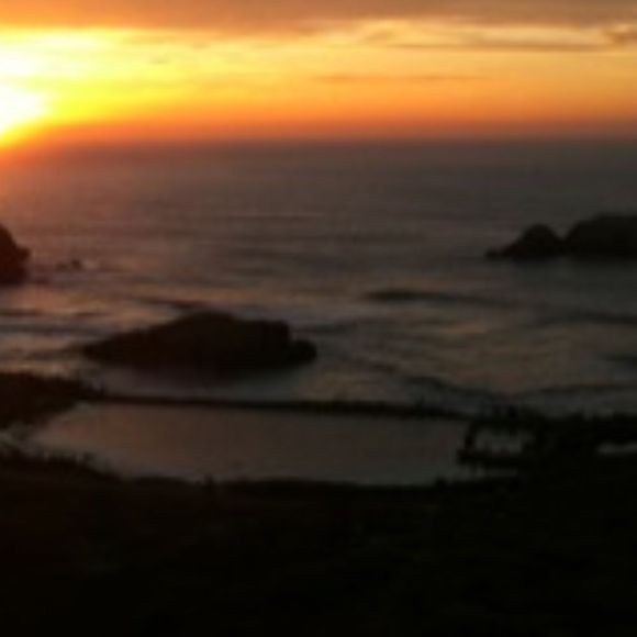 Profile Picture of Ann Wright (@trixie1946) on Poshmark