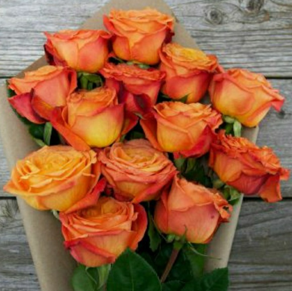 Profile Picture of Bree Martinez (@bam712) on Poshmark