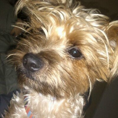 Profile Picture of Maria Jose Garrido🐾 (@lost_in_paradis) on Twitter