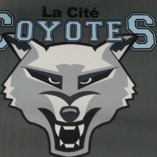 Profile Picture of David Touchette (@touchette_david) on Twitter