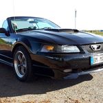 Profile Picture of Michael Cherubin (@mwcherubin) on Instagram