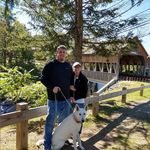 Profile Picture of Justin & Lauren Cole (@rollwiththecoles) on Instagram