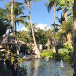 Profile Picture of Lorraine Lambert (@lorraine.d.lambert) on Instagram