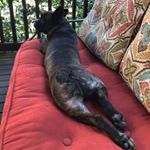 Profile Picture of Devin Herrick (@herrick.devin) on Instagram