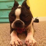 Profile Picture of Leah Tate (@leah_j_tate) on Instagram