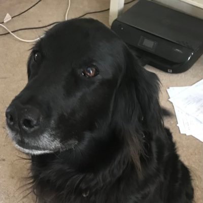 Profile Picture of Andrew Benson (@bense1969) on Twitter