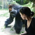 Profile Picture of Lisa McFarland (@ms_m_biology) on Instagram