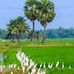 Profile Picture of Sopner Prohor Sopner Prohor (স্বপ্ন চারীনি) (@sopnonersher.prohor) on Facebook