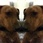 Profile Picture of Grayson Corwin (@graysoncorwin) on Instagram