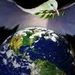 Profile Picture of Eric Shriver (@erthosh) on Pinterest