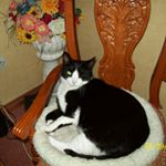 Profile Picture of Noelle Craig Hargy (@noellecraighargy) on Instagram