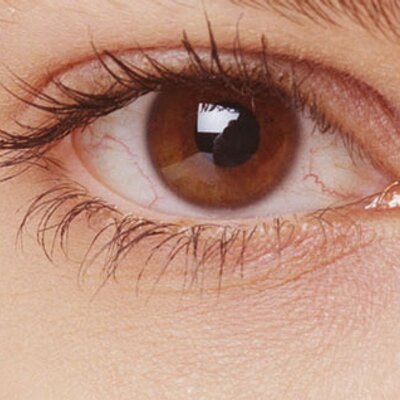 Profile Picture of Carly Oliveira Pinto (@carly_pinto) on Twitter