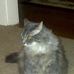 Profile Picture of Candy Chambers (@candy.chambers.58) on Facebook