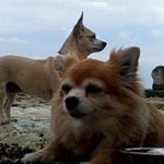 Profile Picture of Steven D'arcy (@steven.darcy.3114) on Instagram