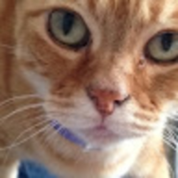 Profile Picture of Cheryl Wade (@cherylwade140) on Poshmark