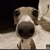 Profile Picture of Evan Wheeler (@evanwheeler6119) on Youtube