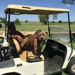 Profile Picture of Michael Mclin (@michael_mclin) on Instagram