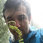 Profile Picture of Clark Holt (@fclarkholt) on Instagram