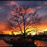 Profile Picture of Jonathan Mayhew (@jonathanmayhew) on Instagram