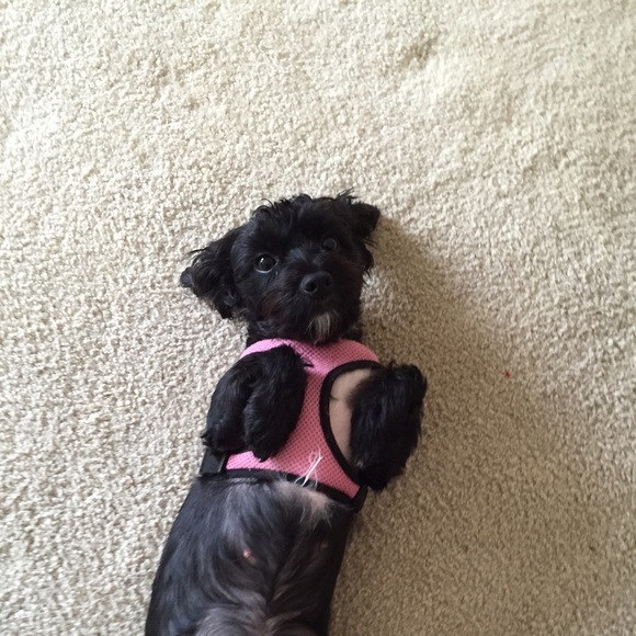 Michael Prettyman - Poshmark Profile Picture of Michael Prettyman (@mcp1218) on Poshmark